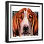 "You Ain't Nothing But a Hounddog,"January 30, 1937-Paul Bransom-Framed Giclee Print