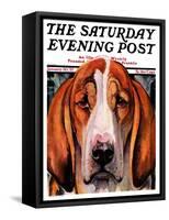 "You Ain't Nothing But a Hounddog," Saturday Evening Post Cover, January 30, 1937-Paul Bransom-Framed Stretched Canvas