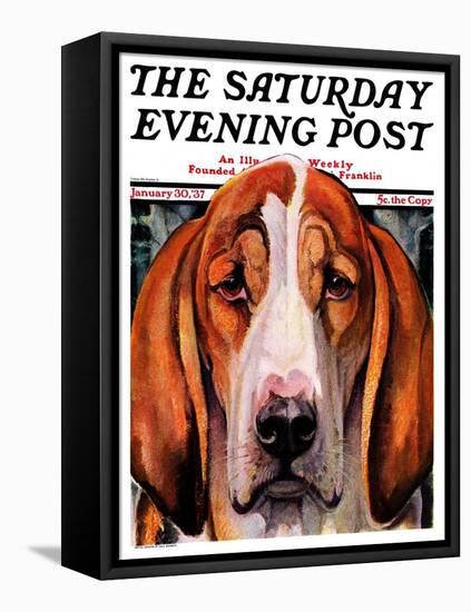 "You Ain't Nothing But a Hounddog," Saturday Evening Post Cover, January 30, 1937-Paul Bransom-Framed Stretched Canvas