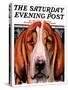 "You Ain't Nothing But a Hounddog," Saturday Evening Post Cover, January 30, 1937-Paul Bransom-Stretched Canvas