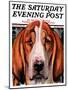 "You Ain't Nothing But a Hounddog," Saturday Evening Post Cover, January 30, 1937-Paul Bransom-Mounted Giclee Print