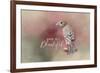 You are Beautiful with words-Jai Johnson-Framed Giclee Print