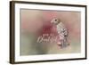 You are Beautiful with words-Jai Johnson-Framed Giclee Print