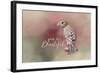 You are Beautiful with words-Jai Johnson-Framed Giclee Print