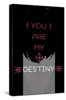 You Are My Destiny-null-Stretched Canvas