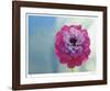 You Are My Sunshine-Michelle Wermuth-Framed Giclee Print