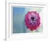 You Are My Sunshine-Michelle Wermuth-Framed Giclee Print