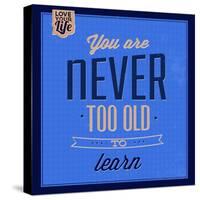 You are Never Too Old 1-Lorand Okos-Stretched Canvas