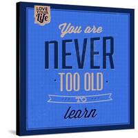 You are Never Too Old 1-Lorand Okos-Stretched Canvas