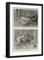 You are Requested to Keep the Hall Doors Shut on Account of the Animals in the Park-Samuel Edmund Waller-Framed Giclee Print