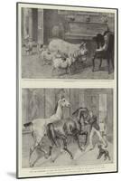 You are Requested to Keep the Hall Doors Shut on Account of the Animals in the Park-Samuel Edmund Waller-Mounted Giclee Print