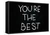 You are the Best-airdone-Framed Stretched Canvas