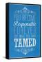 Framed Canvas