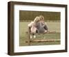 You Can Lean on Me-Betsy Cameron-Framed Art Print