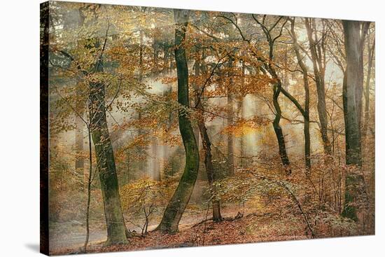 You Can’t Hide Your Rays for Me-Lars Van de Goor-Stretched Canvas