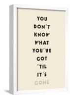 You Don't Know What You've Got 'Til It's Gone-null-Framed Poster