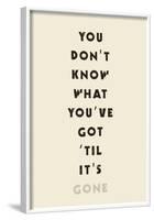 You Don't Know What You've Got 'Til It's Gone-null-Framed Poster