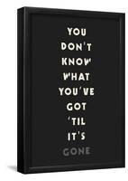 You Don't Know What You've Got 'Til It's Gone-null-Framed Poster