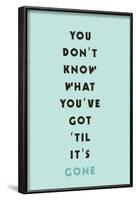 You Don't Know What You've Got 'til It's Gone-null-Framed Poster