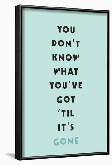 You Don't Know What You've Got 'til It's Gone-null-Framed Poster