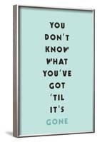 You Don't Know What You've Got 'til It's Gone-null-Framed Poster