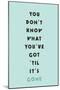 You Don't Know What You've Got 'til It's Gone-null-Mounted Poster