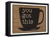 You Got This-Dan Dipaolo-Framed Stretched Canvas