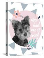You Had Me At Woof-Rachael Hale-Stretched Canvas