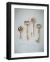 You Hold the Keys-Susannah Tucker-Framed Art Print