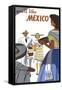 You'll Like Mexico Poster-null-Framed Stretched Canvas