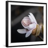 You Missed Me-Philippe Sainte-Laudy-Framed Photographic Print