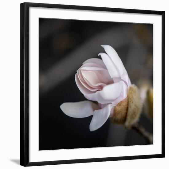 You Missed Me-Philippe Sainte-Laudy-Framed Photographic Print