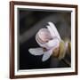You Missed Me-Philippe Sainte-Laudy-Framed Photographic Print