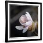 You Missed Me-Philippe Sainte-Laudy-Framed Photographic Print