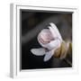 You Missed Me-Philippe Sainte-Laudy-Framed Photographic Print