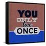 You Only Live Once 1-Lorand Okos-Framed Stretched Canvas