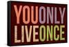 You Only Live Once Art Print Poster-null-Framed Stretched Canvas