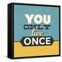 You Only Live Once-Lorand Okos-Framed Stretched Canvas