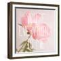 You're Everything to Me-Sarah Gardner-Framed Art Print