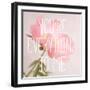 You're Everything to Me-Sarah Gardner-Framed Art Print