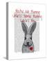 You're No Bunny-Fab Funky-Stretched Canvas