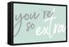 You're So Extra-Trends International-Framed Stretched Canvas