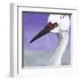 You Silly Bird - Abbe-Dlynn Roll-Framed Art Print