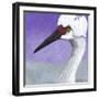 You Silly Bird - Abbe-Dlynn Roll-Framed Art Print