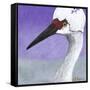 You Silly Bird - Abbe-Dlynn Roll-Framed Stretched Canvas