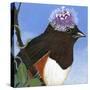 You Silly Bird - Donna-Dlynn Roll-Stretched Canvas