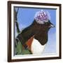 You Silly Bird - Donna-Dlynn Roll-Framed Art Print