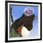 You Silly Bird - Donna-Dlynn Roll-Framed Art Print