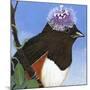 You Silly Bird - Donna-Dlynn Roll-Mounted Art Print