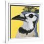 You Silly Bird - Parker-Dlynn Roll-Framed Art Print